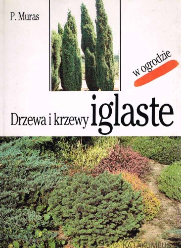 Drzewa i krzewy iglaste w ogrodzie. Dr inż. PIOTR MURAS