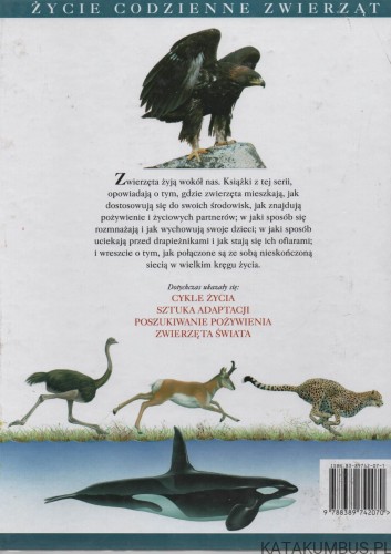 Sztuka adaptacji. MARCO FERRARI