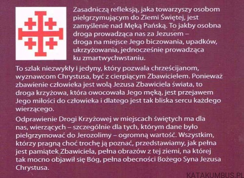 Męka Jezusa Chrystusa. W krzyżu zbawienie. Ks. IRENEUSZ SKUBIŚ