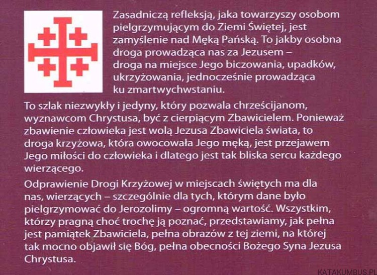 Męka Jezusa Chrystusa. W krzyżu zbawienie. Ks. IRENEUSZ SKUBIŚ