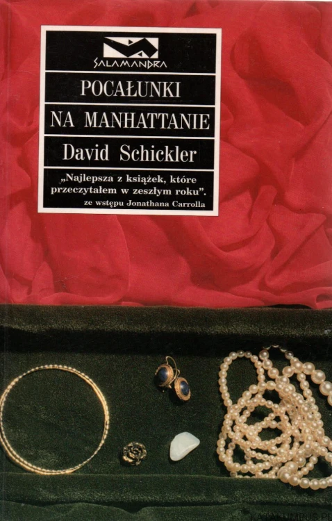 Pocałunki na Manhattanie. DAVID SCHICKLER