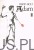 Adam. DAVID BOLT