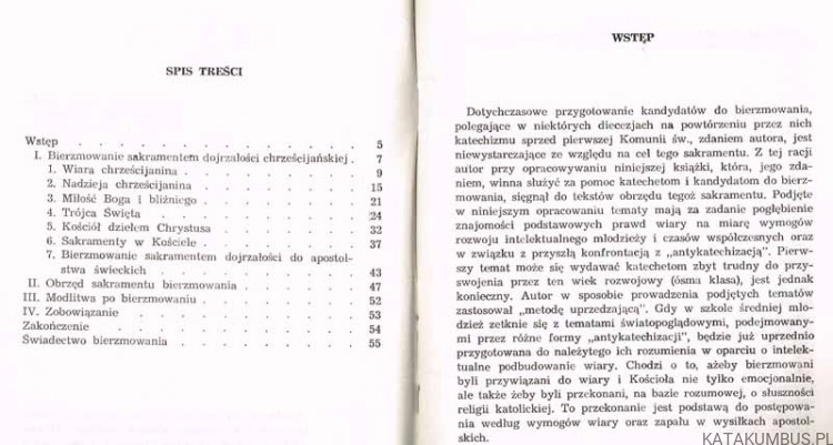 Umocnieni Duchem Świętym. KS. STANISŁAW KISIEL