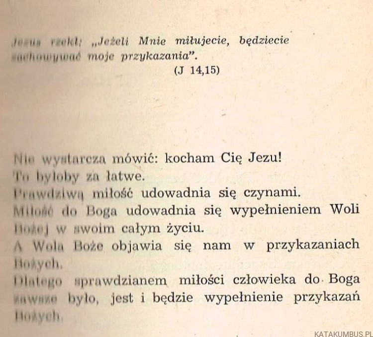 Ewangelia i człowiek. Zamyślenia. Część 3. WŁADYSŁAW KLUZ