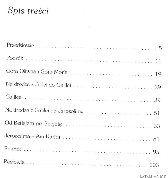 Czytając "Piątą Ewangelię". Ks. IGNACY DEC