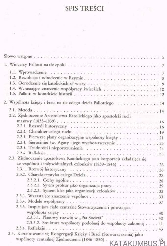 Powstanie SAC. PAUL RHEINBAY