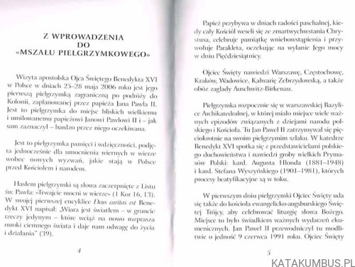 Trwajcie mocni w wierze. Wizyta Apostolska Ojca Świętego Benedykta XVI w Polsce