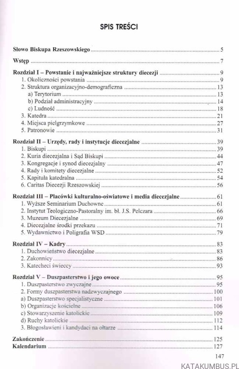 Dziesięciolecie diecezji rzeszowskiej (1992-2002) / ks. Andrzej Motyka