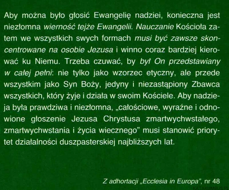 Głosić Ewangelię nadziei. Program duszpasterski na rok 2004/2005 . PRACA ZBIOROWA