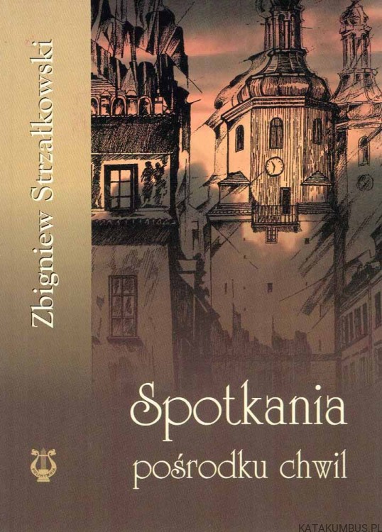 Spotkania pośrodku chwil / Zbigniew Strzałkowski