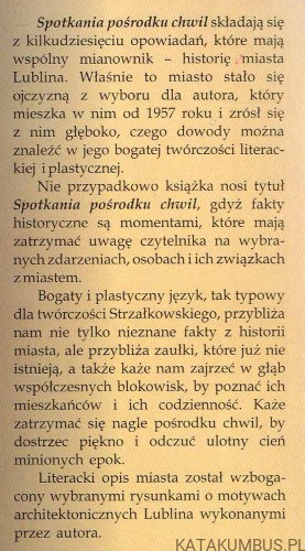 Spotkania pośrodku chwil / Zbigniew Strzałkowski