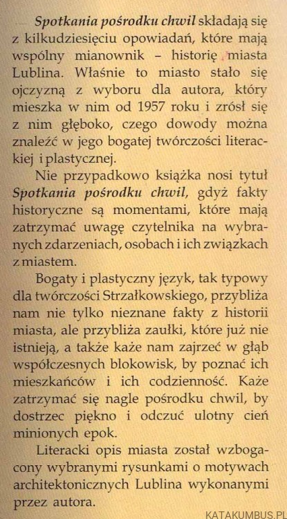 Spotkania pośrodku chwil / Zbigniew Strzałkowski