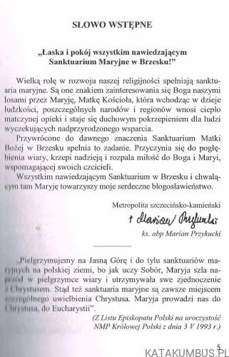 Opowieść o Brzeskiej Madonnie. Ks. JANUARY ŻELAWSKI