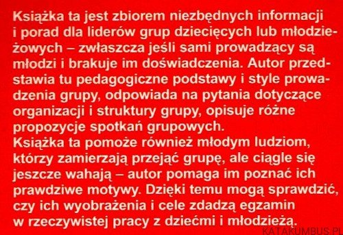 Prowadzenie grup dziecięcych i młodzieżowych / Martin Verfurth