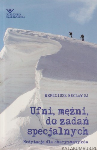 Ufni, mężni, do zadań specjalnych. REMIGIUSZ RECŁAW SJ