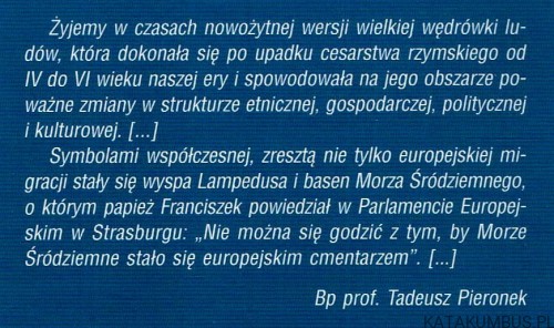 Co nas łączy, co nas dzieli w Europie? RAFAŁ BUDNIK